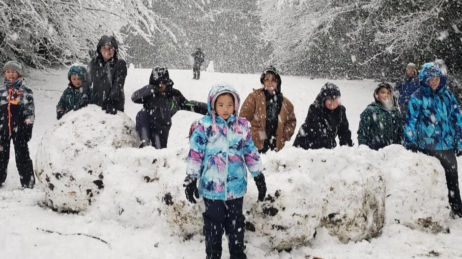 Snow CUbs