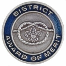 District Award of Merit 565x560